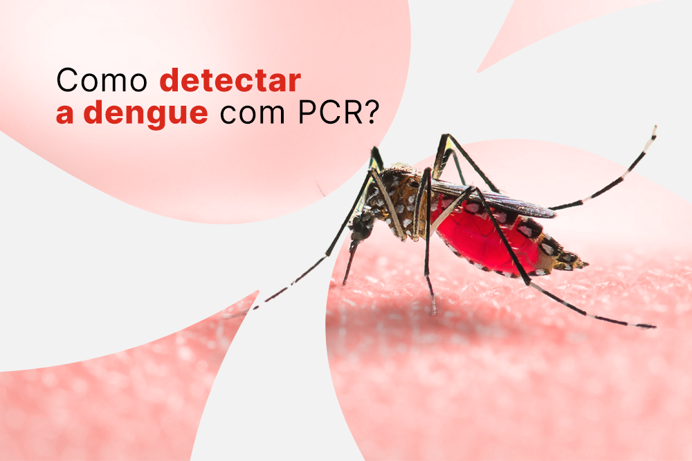 Como detectar dengue com PCR